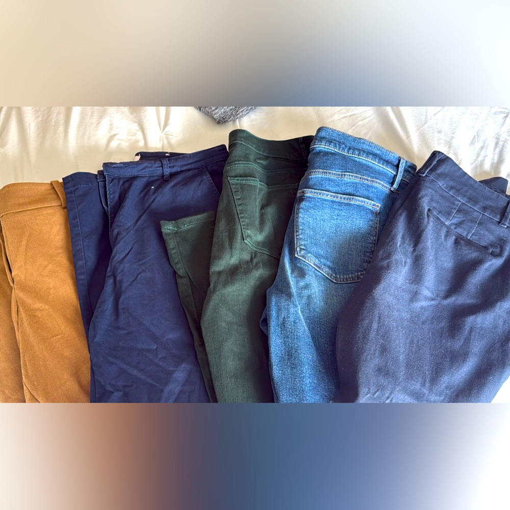 Chic Assorted Pants from LOFT